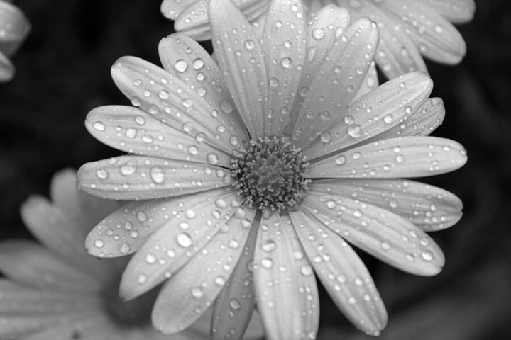 beautiful.....