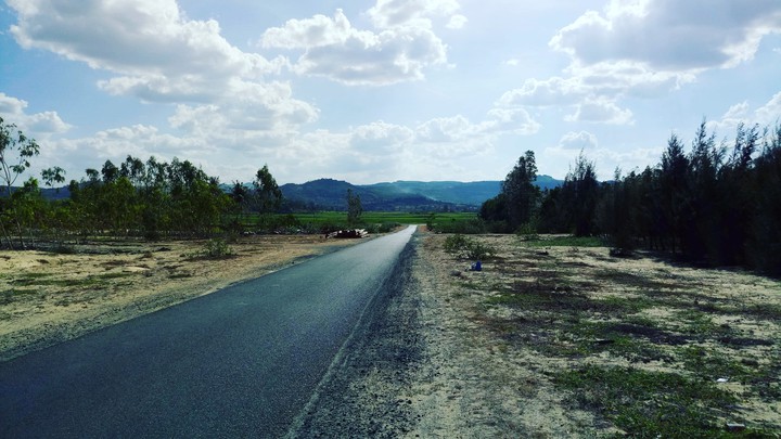My trip
