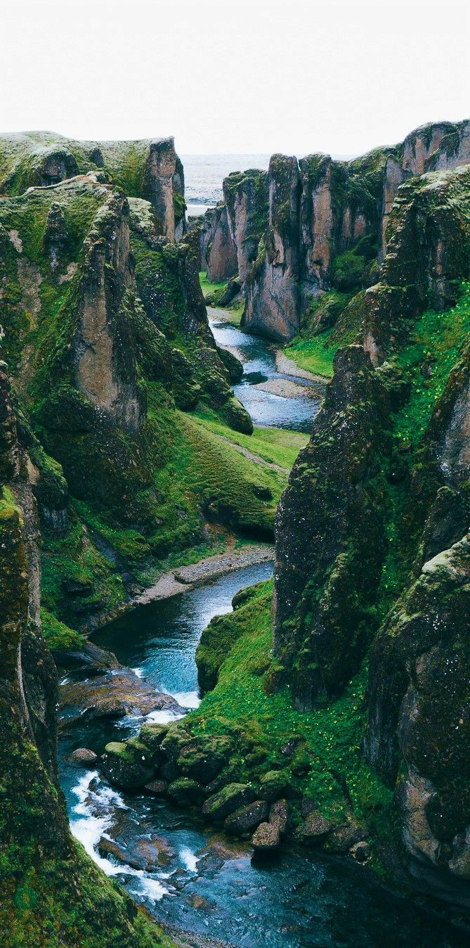 Nature