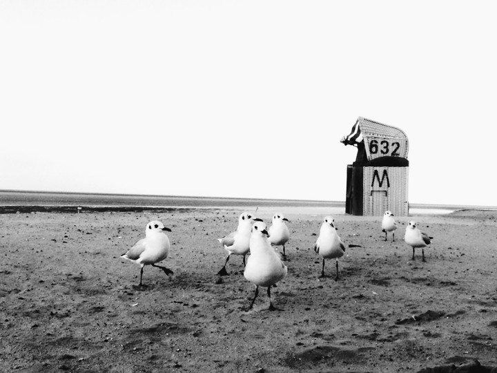 Sea