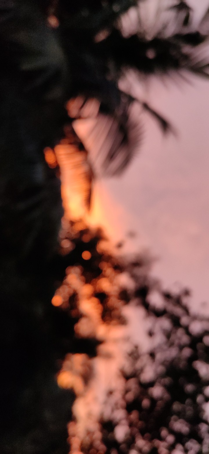 bokeh eve