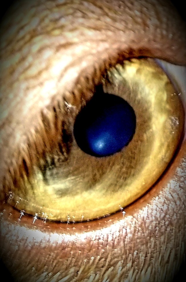 I Got My Eye On You