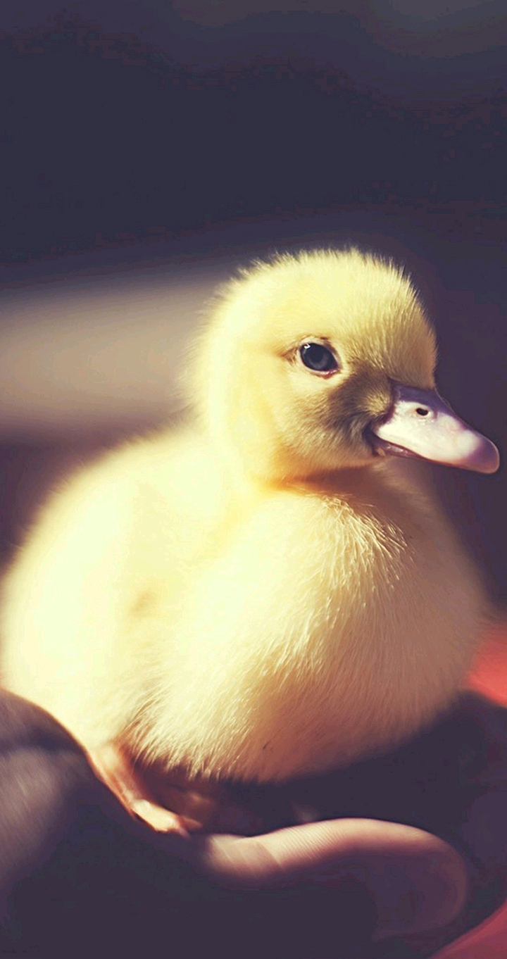 Cuteeee ❤️