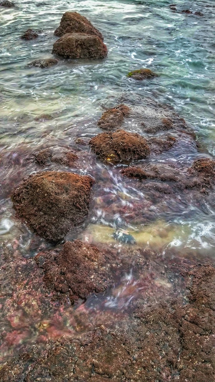 Holy sea.