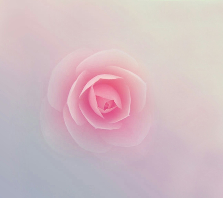 Rosy