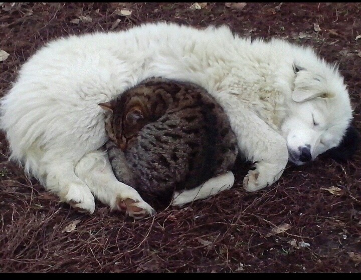 lovely friendship
