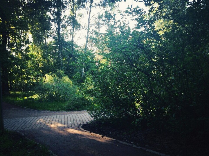 Park