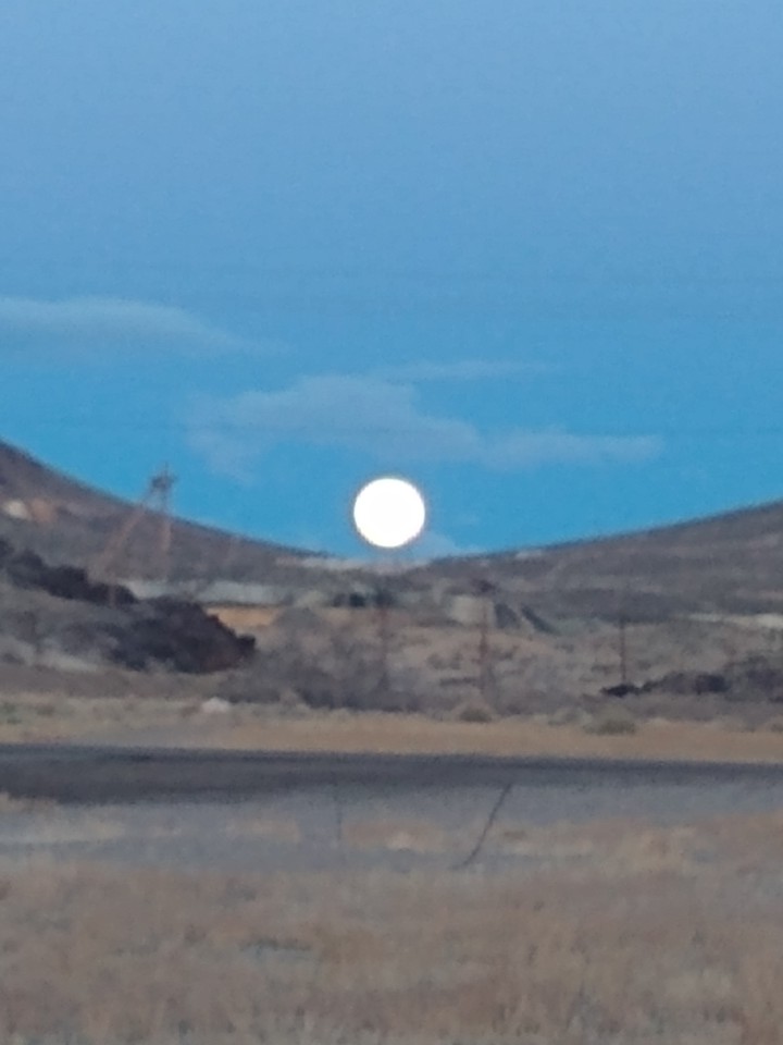 Beauty in Central Nevada