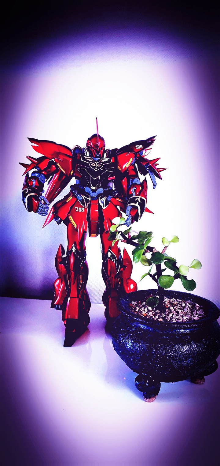 MG     SINANJU 시난주건담 ㅎ