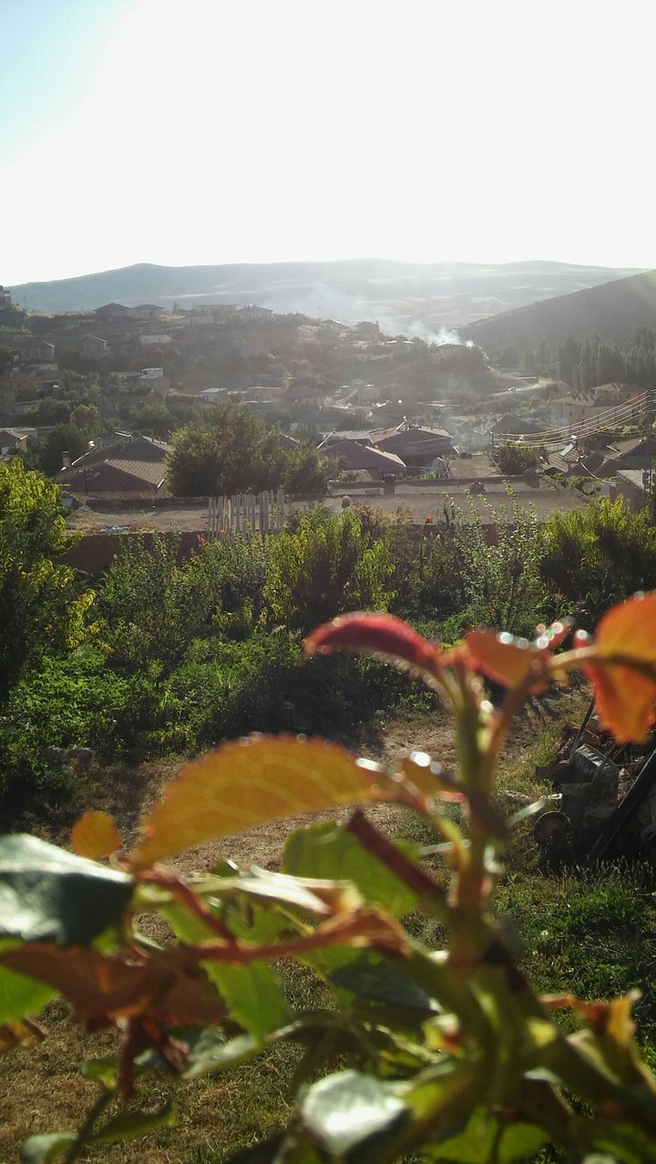 doğa için...