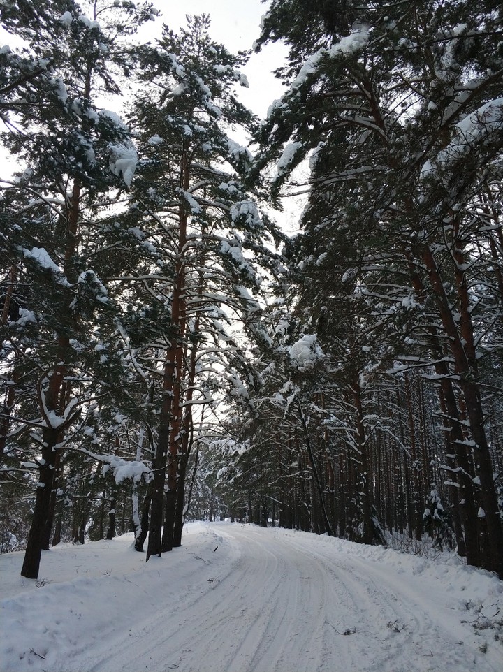 Новосельцево
