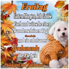 so ist es ?