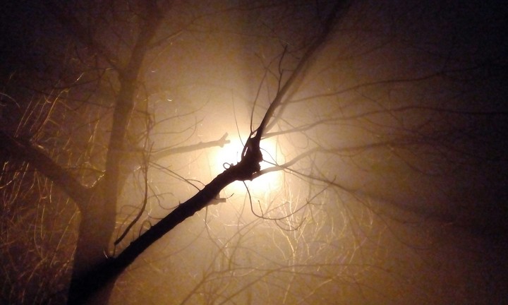 Fog