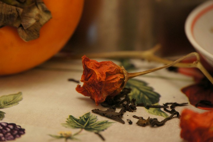 Dreaming about autumn