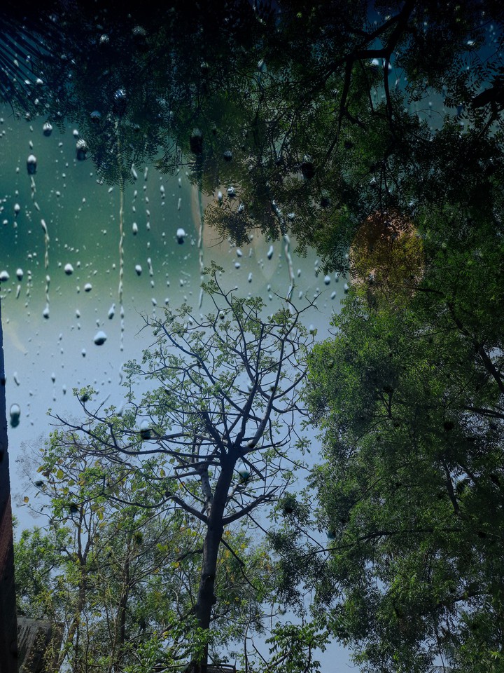 Mother nature doesn't need any filters