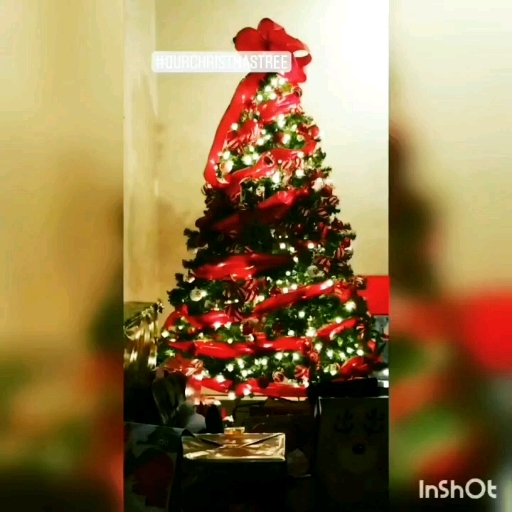 Our Christmas Tree