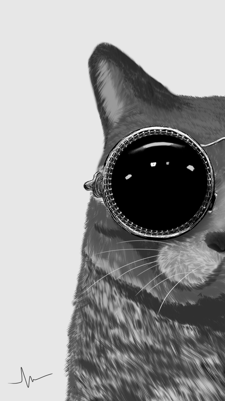 fur and shades