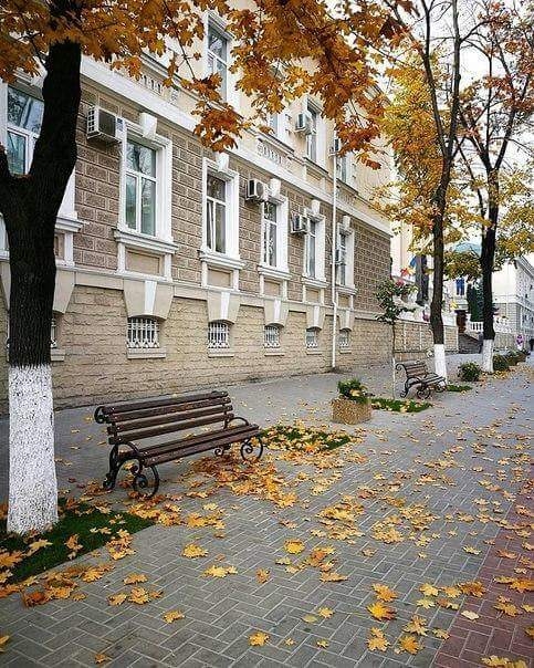 street