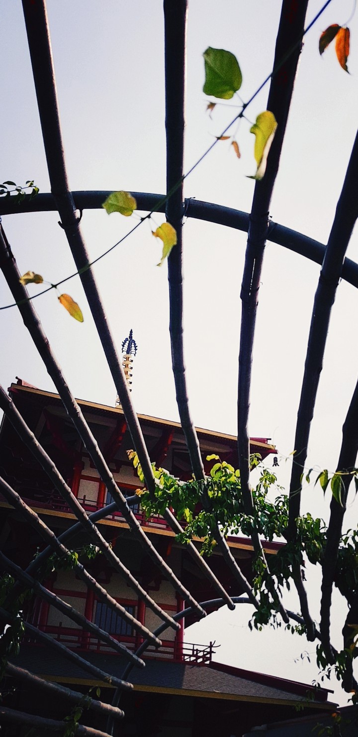 ▪Barred▪