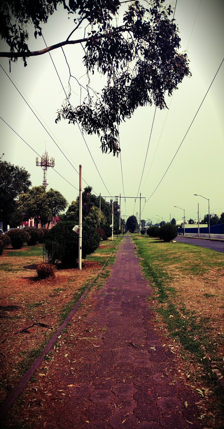 The Road