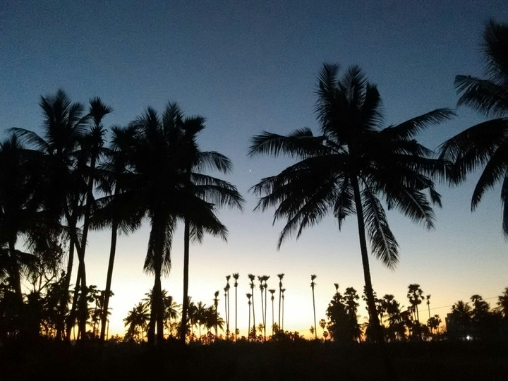 yellow sunset