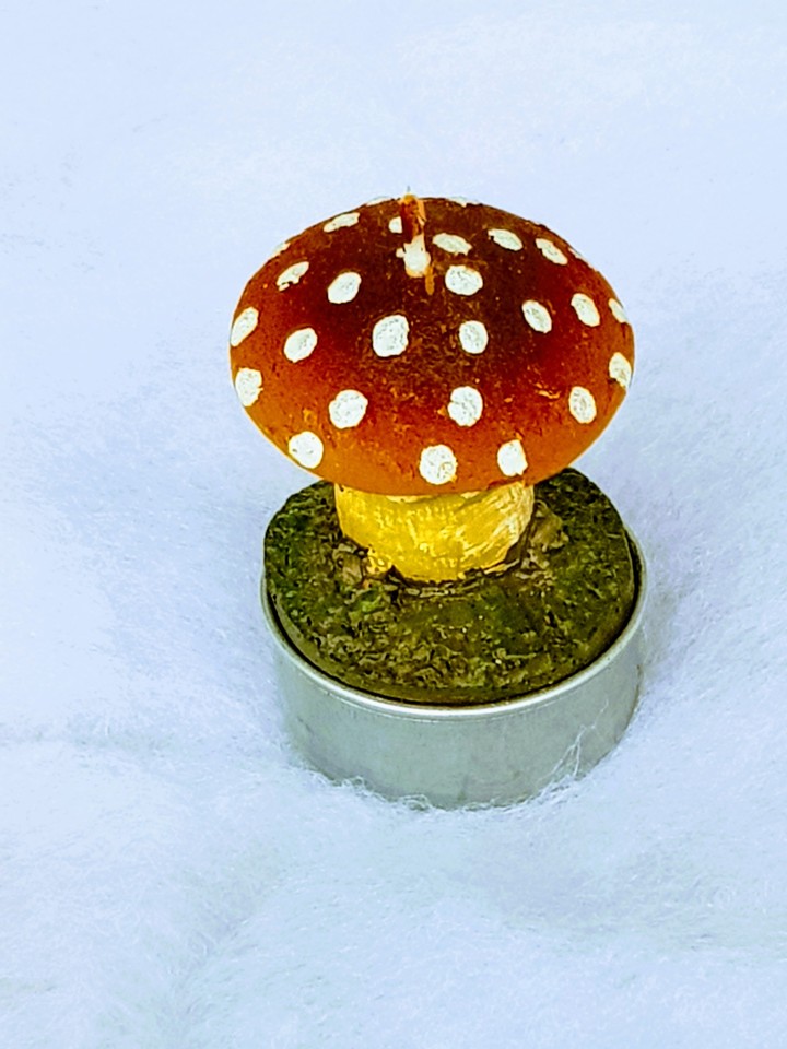 champignons