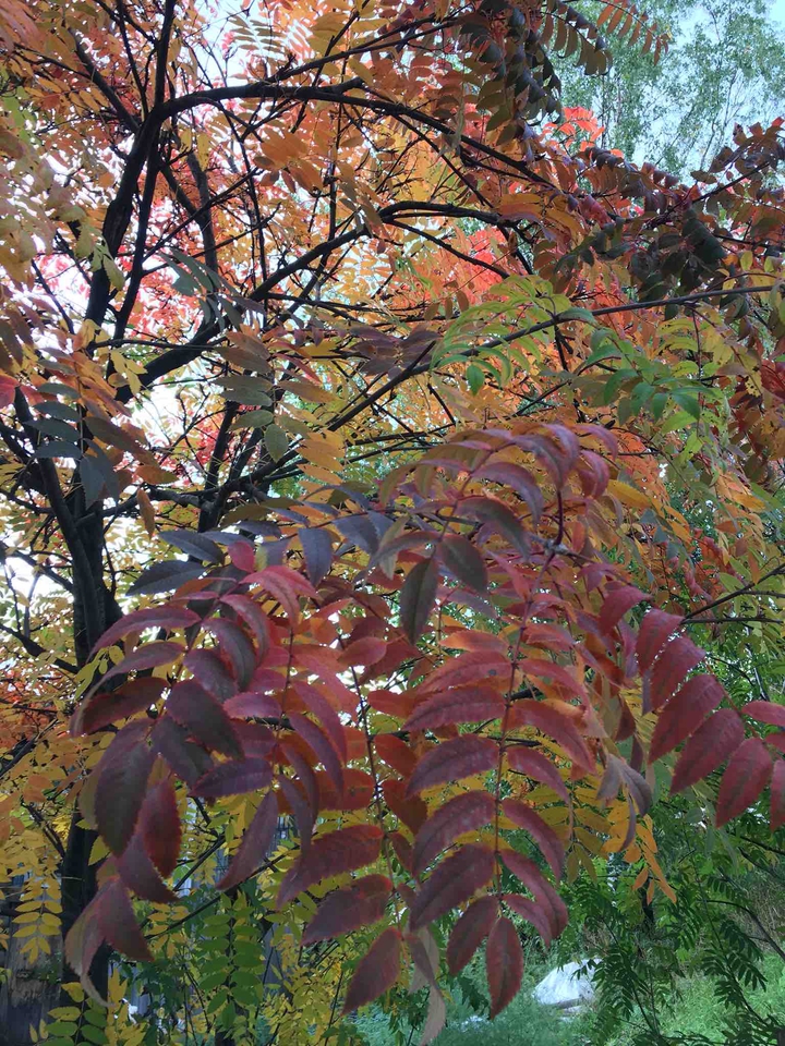 Autumn is coming