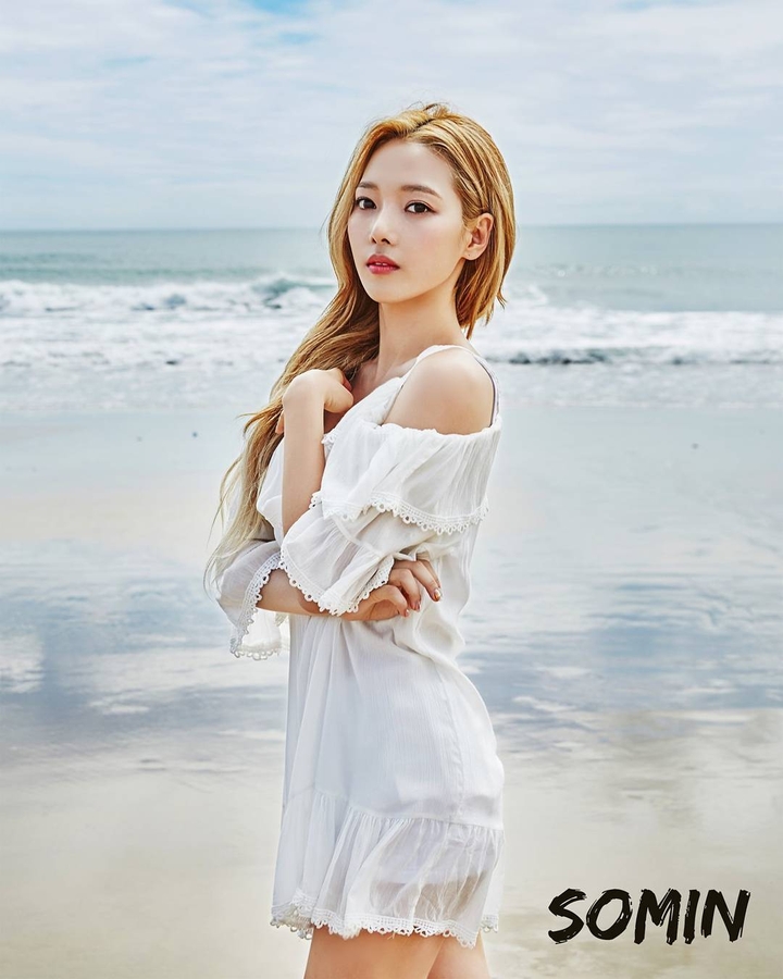 SOMIN K.A.R.D