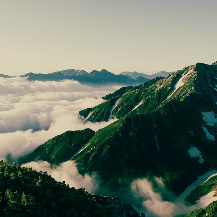 Nature