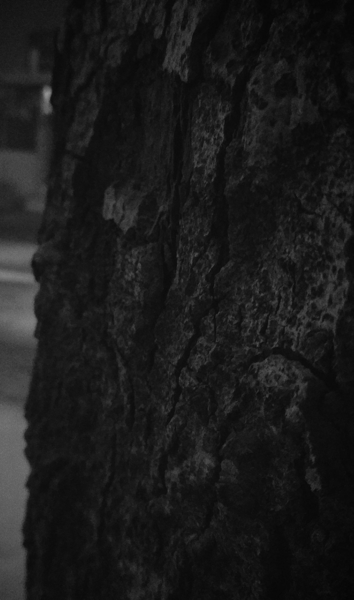 darkness