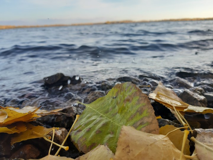 autum and river