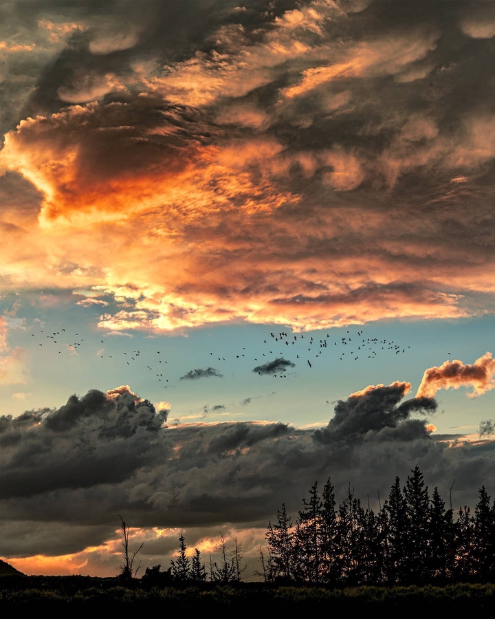 Sky