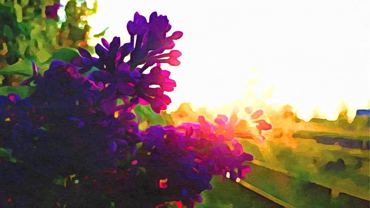 Frühlings Blumen Zeichnung