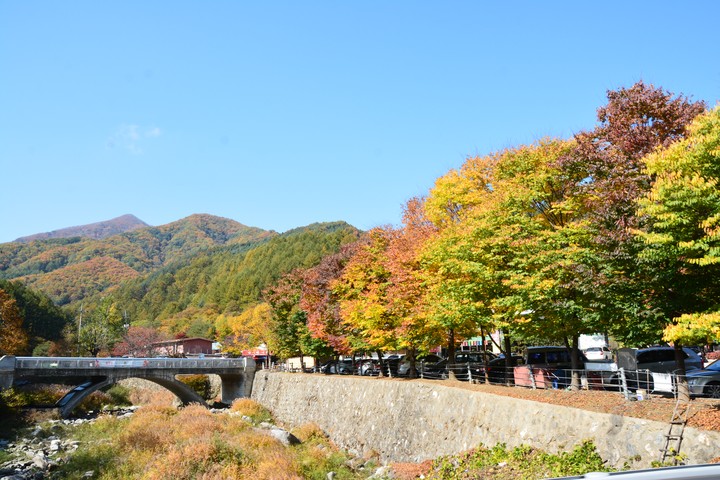 산이미지