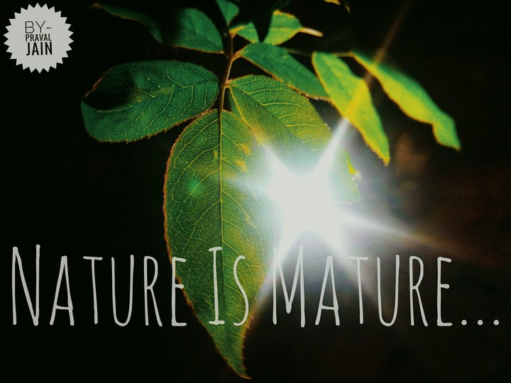 Nature