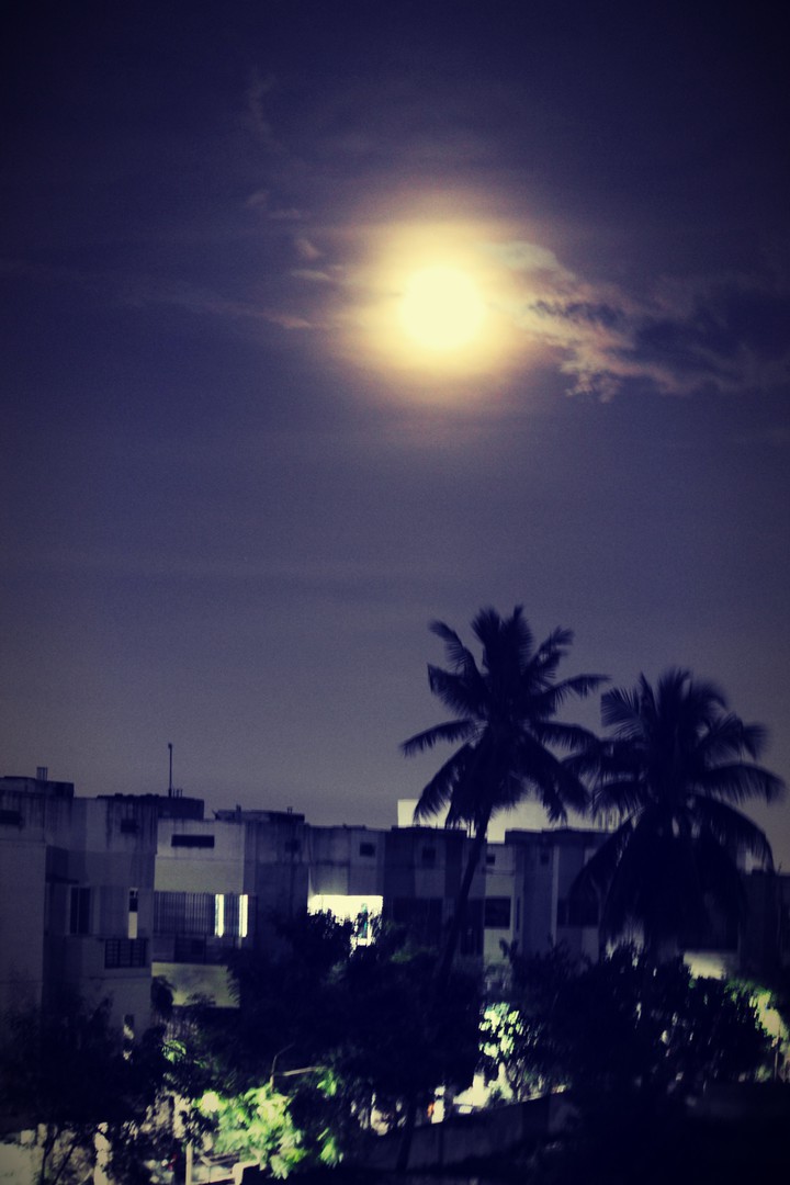 a night sky.