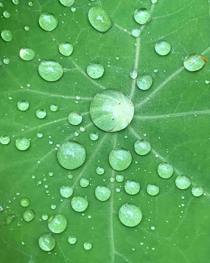 summer universe