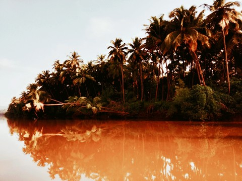 choco reflection