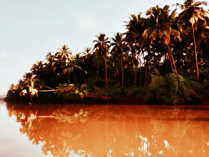 choco reflection