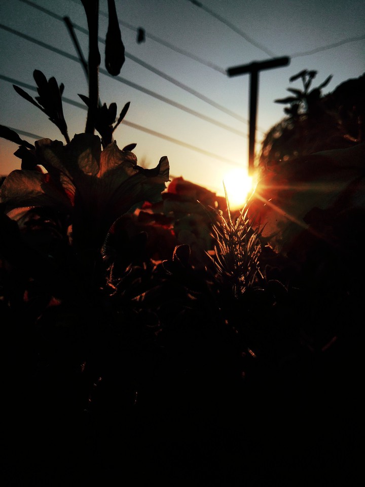 Evening