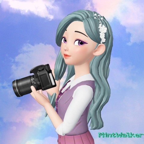 Photographer