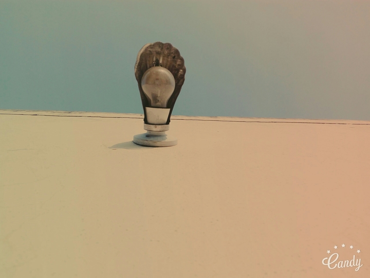 bulb