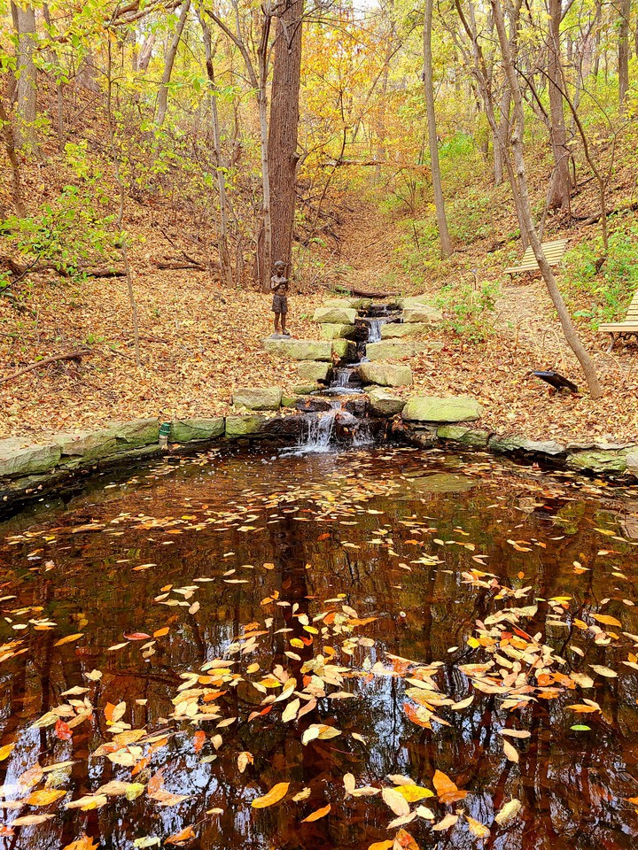 Fall- The Season of Colors