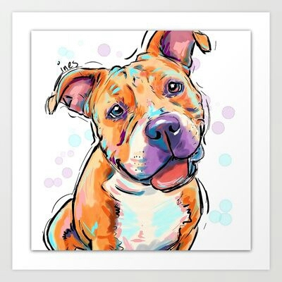 Cute pitbull