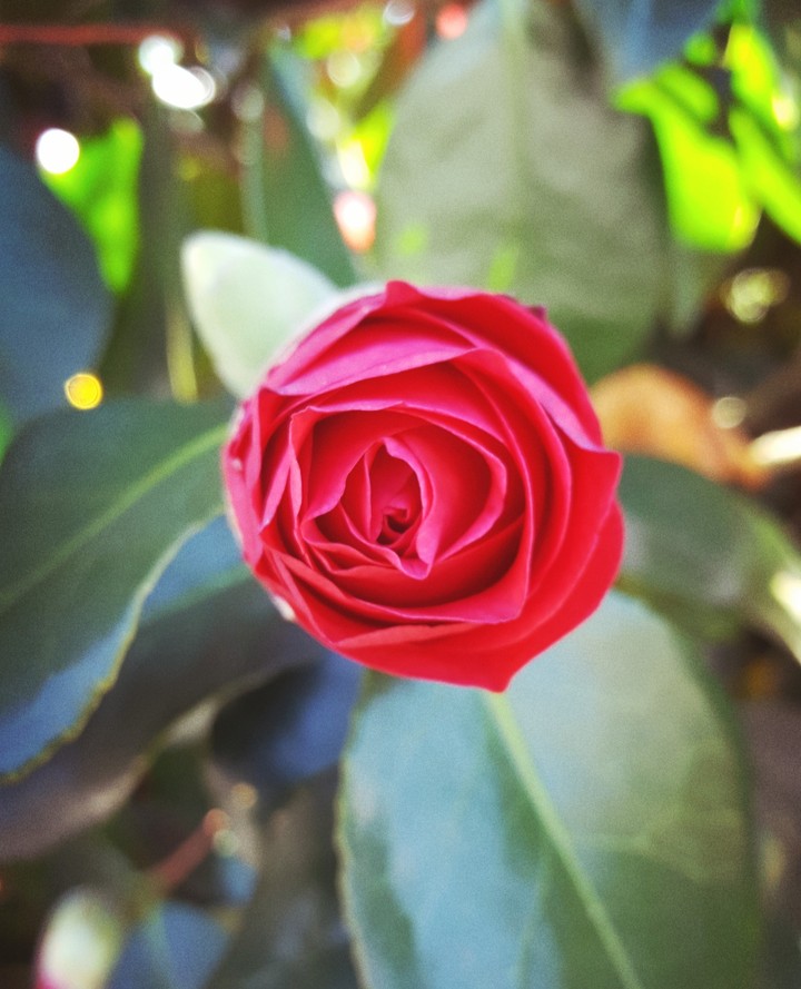 ❤