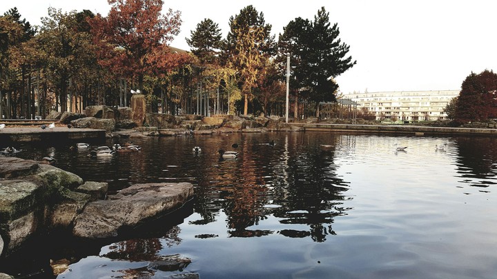 Park
