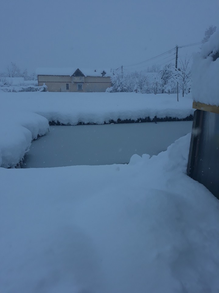 ❄❄