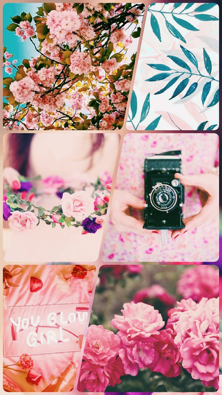 pretty in pink