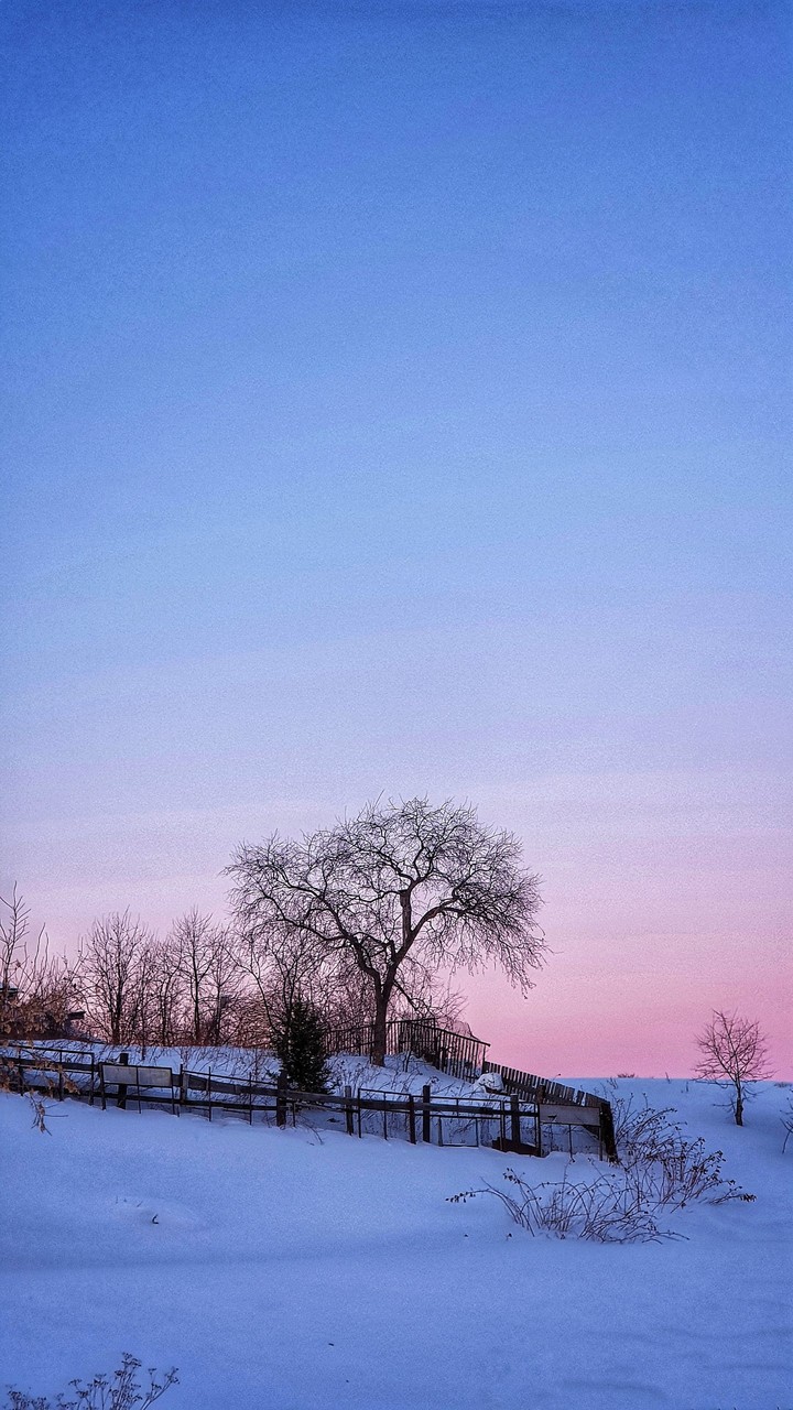 Winter in Siberia