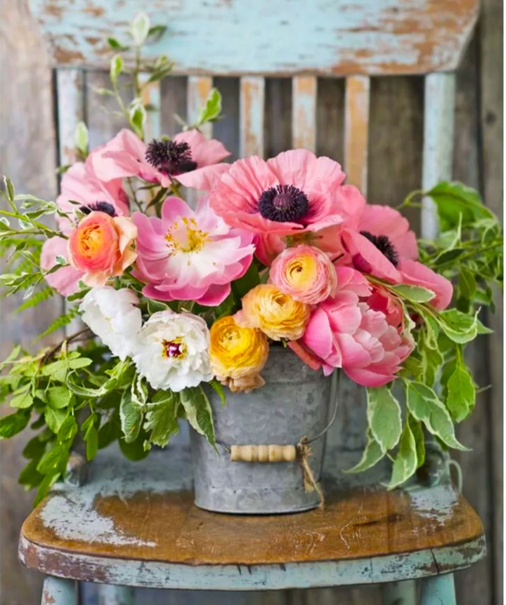 still-life